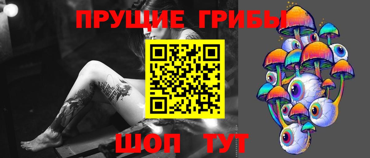 Псилоцибиновые грибы Cubensis  Вход с VPN  Алексин 